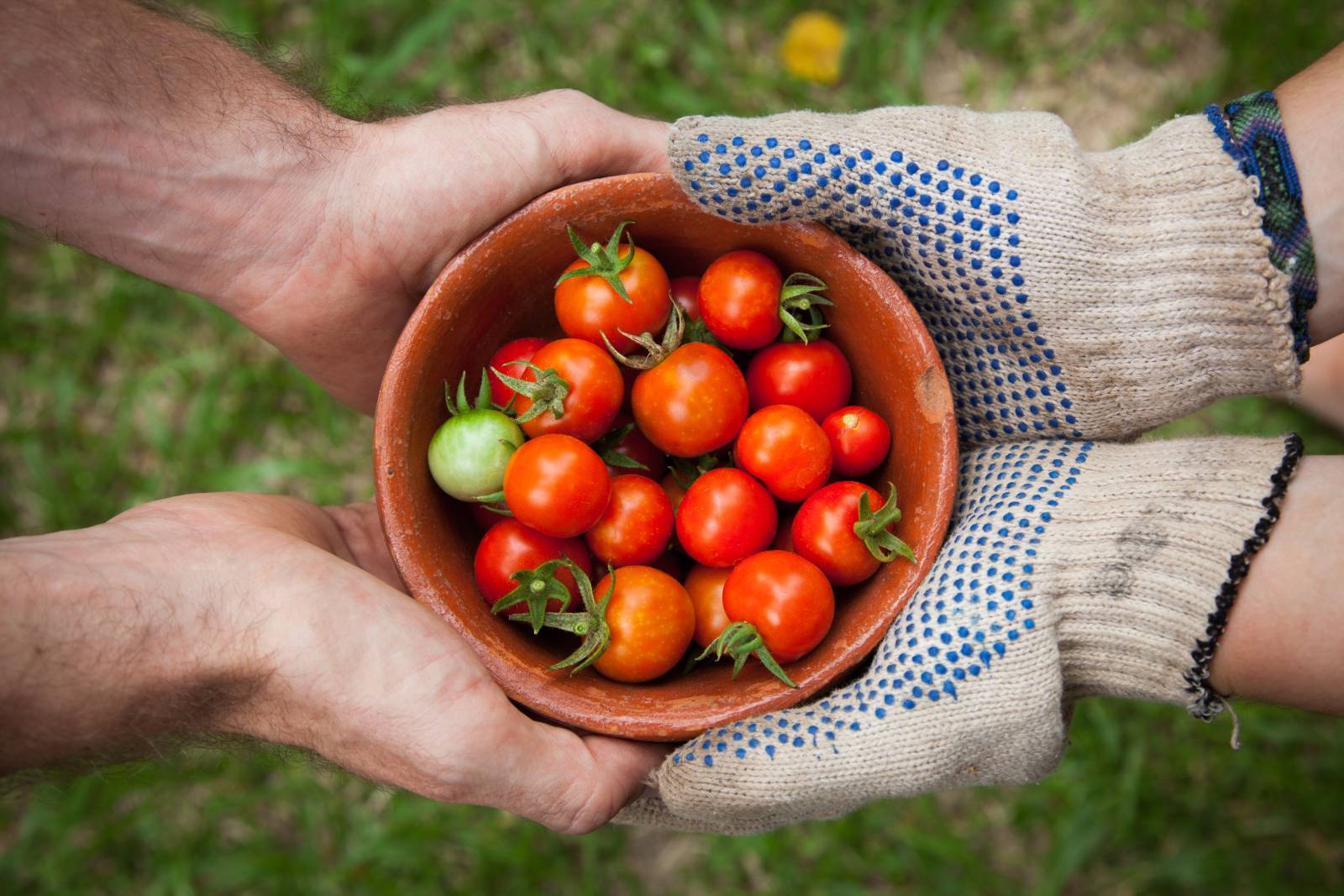 Emballages alimentaires souples pour fruits et légumes: Blain Emballage répond à toutes vos questions!