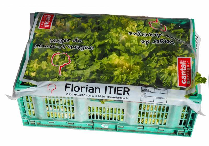 Vente en gros d'emballages souples pour primeurs Aubervilliers