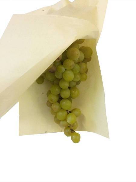 Notre zone d'activité pour ce service Distributeur d'emballages pour fruits et légumes