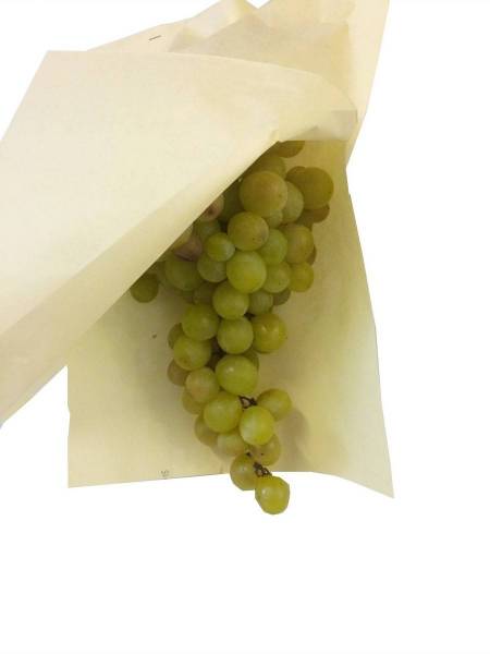 Vente en gros de sacs d'emballage pour raisin sur Carpentras dans le Vaucluse
