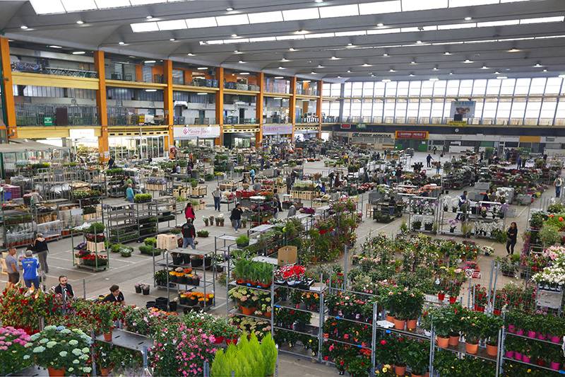 Min d'Azur Nice 06 marché d'intérêt national 
