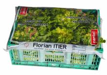 Notre zone d'activité pour ce service Vente de fonds de plateaux pour protéger fruits et légumes