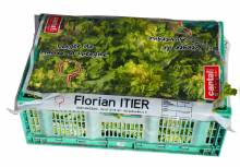 Notre zone d'activité pour ce service Fabricant de tours de bottes d'asperges personnalisés