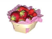 Nos prestations sur le secteur de Cavaillon Vaucluse 84300