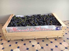 Nos prestations sur le secteur de Carpentras PACA 84200