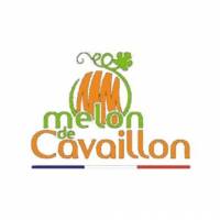 producteur de melon de Cavaillon
